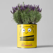 Load image into Gallery viewer, Big Bee Happiness. Eco grow your Own plant, gardening kit.
