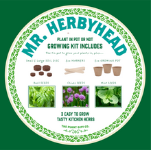 Load image into Gallery viewer, Mr. Herbyhead. Eco grow your Own plant, gardening kit.
