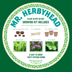 Mr. Herbyhead. Eco grow your Own plant, gardening kit.