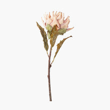 Indlæs billede til gallerivisning 6 faux lotus leaf stems in two colours
