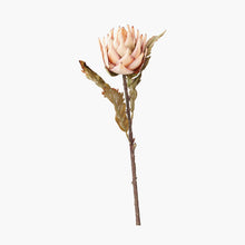 Indlæs billede til gallerivisning 6 faux lotus leaf stems in two colours
