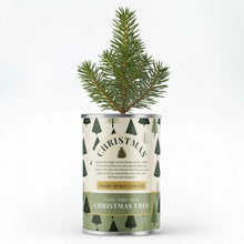 Afbeelding in Gallery-weergave laden, Nordic Spruce Xmas Tree Grow Kit – Merry Christmas
