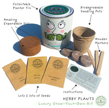 Load image into Gallery viewer, Mr. Herbyhead. Eco grow your Own plant, gardening kit.
