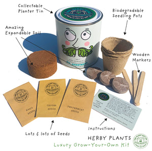 Mr. Herbyhead. Eco grow your Own plant, gardening kit.