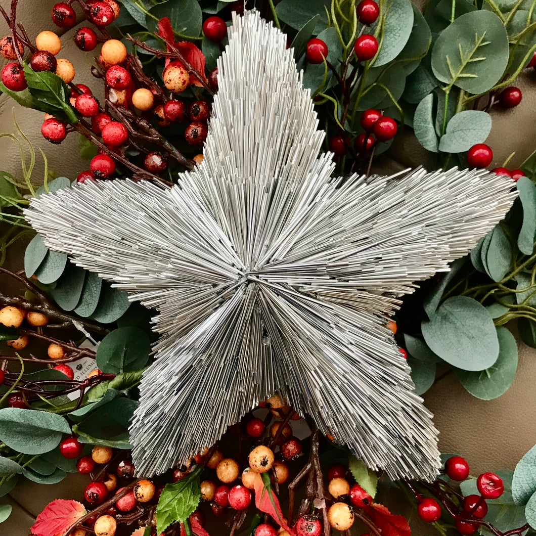Silver hanging star
