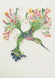 The hummingbird - greeting card