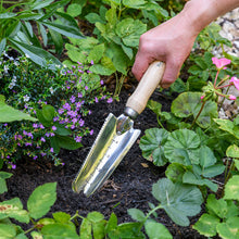Charger l&#39;image dans la galerie, RHS endorsed weeding trowel
