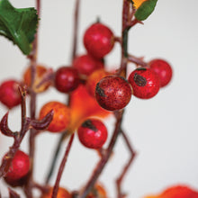Load image into Gallery viewer, Faux Autumn berries
