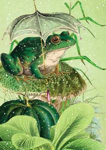 Winter frog - Christmas card