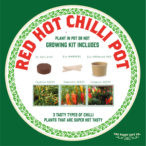 Red Hot Chilli Pot. Eco grow your own plant, gardening kit.