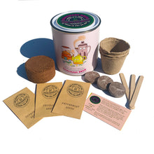 Afbeelding in Gallery-weergave laden, Homemade Brew. Eco grow your Own plant, gardening kit.
