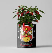 Indlæs billede til gallerivisning Red Hot Chilli Pot. Eco grow your own plant, gardening kit.
