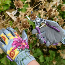 Indlæs billede til gallerivisning Secateurs, RHS garden pruner and Holster Set Asteraceae design
