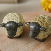 Indlæs billede til gallerivisning Salt &amp; Pepper Shaker Set - Highland Sheep
