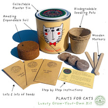 Load image into Gallery viewer, Purrfect Treat. Eco grow your Own plant, gardening kit.
