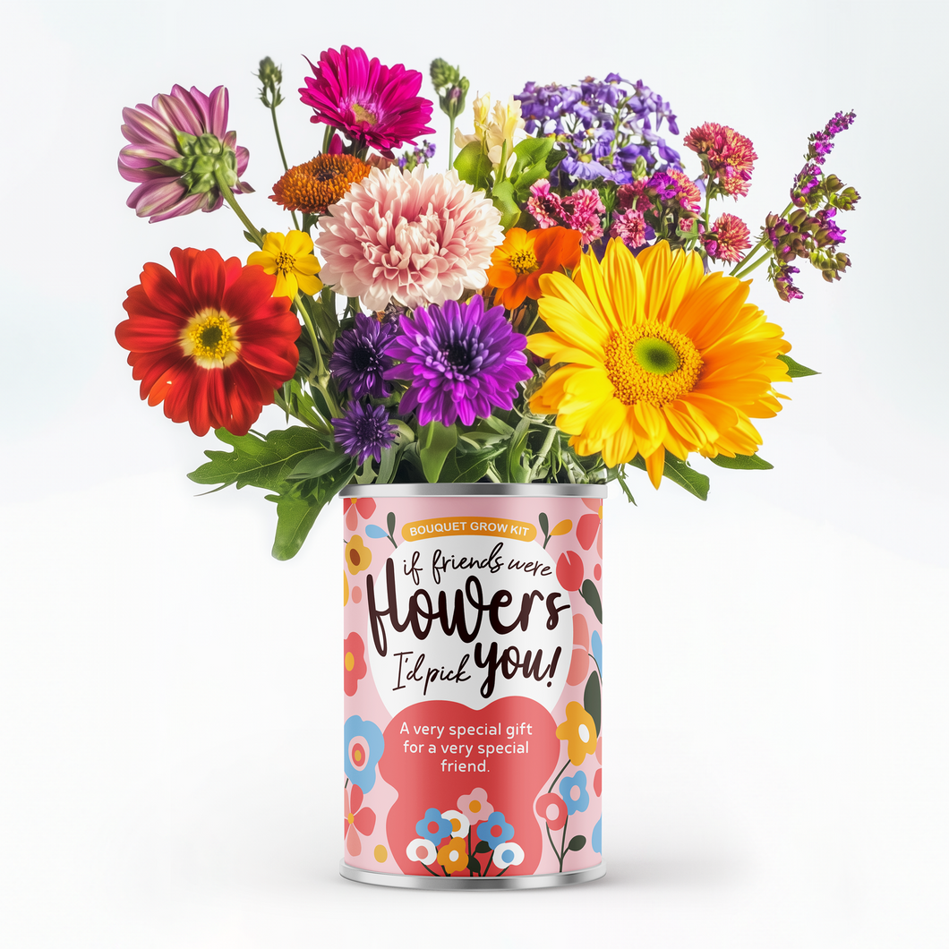 If Friends Were Flowers, I’d Pick You Flower Grow Kit Gift