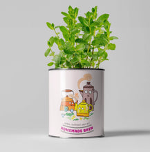 Charger l&#39;image dans la galerie, Homemade Brew. Eco grow your Own plant, gardening kit.
