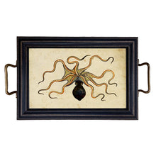 Charger l'image dans la galerie, Octopus rectangular tray with brass handles
