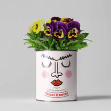 Load image into Gallery viewer, Frida&#39;s Flowers. Eco grow your Own plant, gardening kit.
