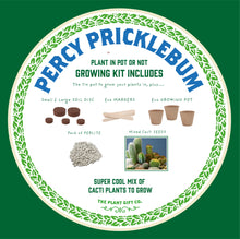 Load image into Gallery viewer, Percy Pricklebum. Eco grow your Own plant, gardening kit.
