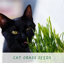 Load image into Gallery viewer, Purrfect Treat. Eco grow your Own plant, gardening kit.
