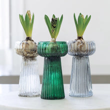 Load image into Gallery viewer, Ribbed Hyacinth vase
