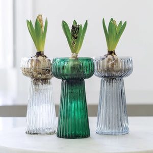 Ribbed Hyacinth vase