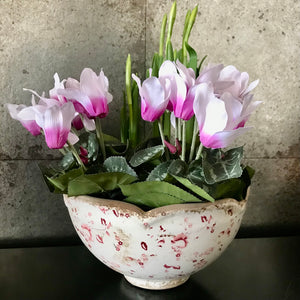Potted faux Cyclamen