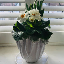 Load image into Gallery viewer, White ceramic botanical vase
