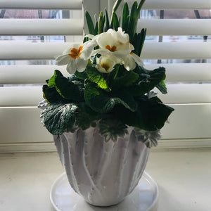 White ceramic botanical vase