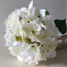 Indlæs billede til gallerivisning White faux hydrangea stem
