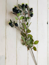 Load image into Gallery viewer, Black faux rose hips spray
