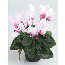 Load image into Gallery viewer, Potted faux Cyclamen
