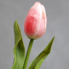 Charger l&#39;image dans la galerie, Tulip faux stem
