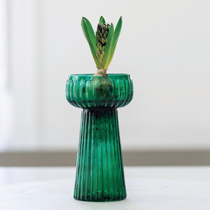 Ribbed Hyacinth vase