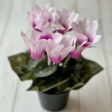 Load image into Gallery viewer, Potted faux Cyclamen
