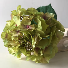 Load image into Gallery viewer, Green faux hydrangea stem
