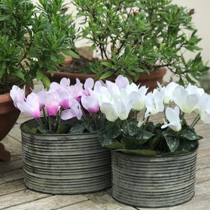 Set of two grooved zinc planters