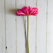Carica l&#39;immagine nel visualizzatore di Gallery, Pink faux Chrysanthemum stem
