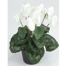 Load image into Gallery viewer, Potted faux Cyclamen
