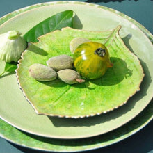 Load image into Gallery viewer, Costa Nova Riviera tomate hydrangea leaf plate 22CM
