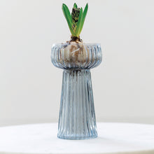Load image into Gallery viewer, Ribbed Hyacinth vase
