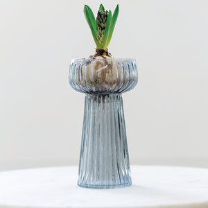 Ribbed Hyacinth vase