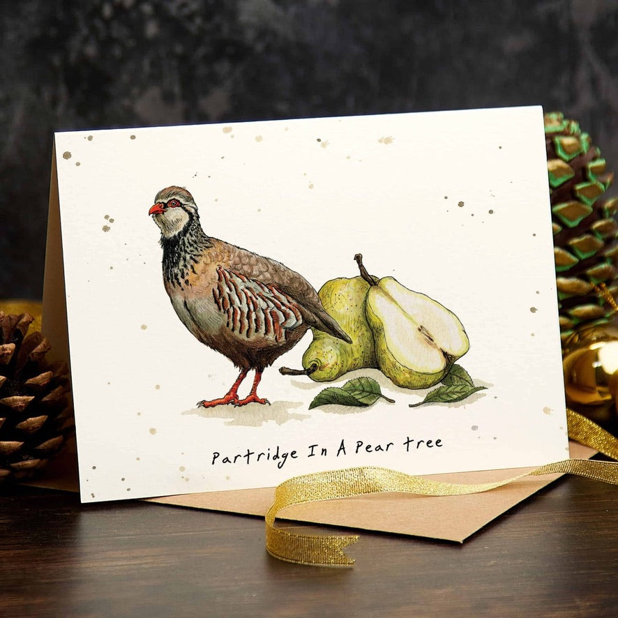 Partridge in a pear tree  - Christmas card
