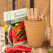 Load image into Gallery viewer, Chilli seed box kit
