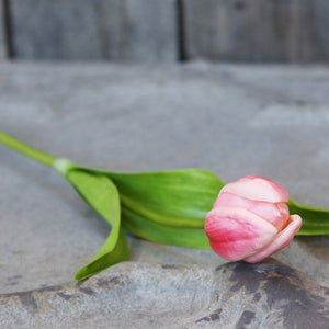 Tulip faux stem