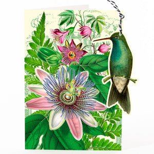 Humming bird & Passion flower - Fandangle greeting card