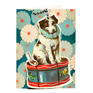 Dog on a drum - fandangle greeting card