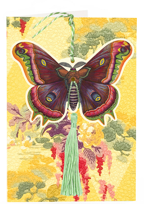 Butterfly flutter by - fandangle greeting card