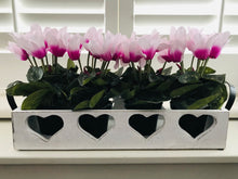 Afbeelding in Gallery-weergave laden, Potted faux Cyclamen
